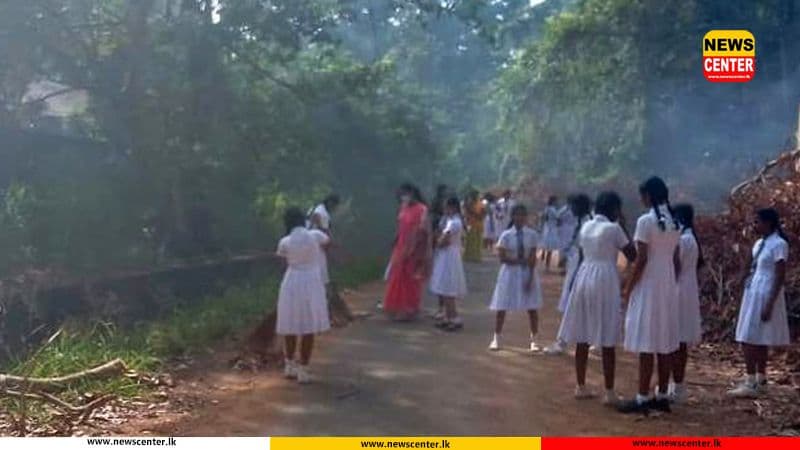 Dengue breeding sites found in 41% of schools nationwide – Health Minister
